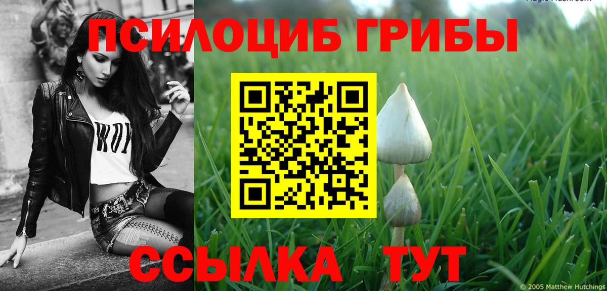Галлюциногенные грибы Cubensis  Галлюциногенные грибы мицелий  Вход с VPN  Черногорск 